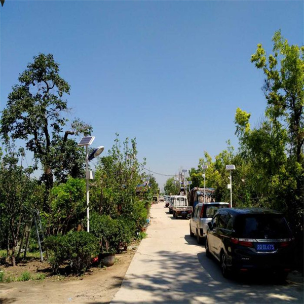 我司園藝基地(dì)